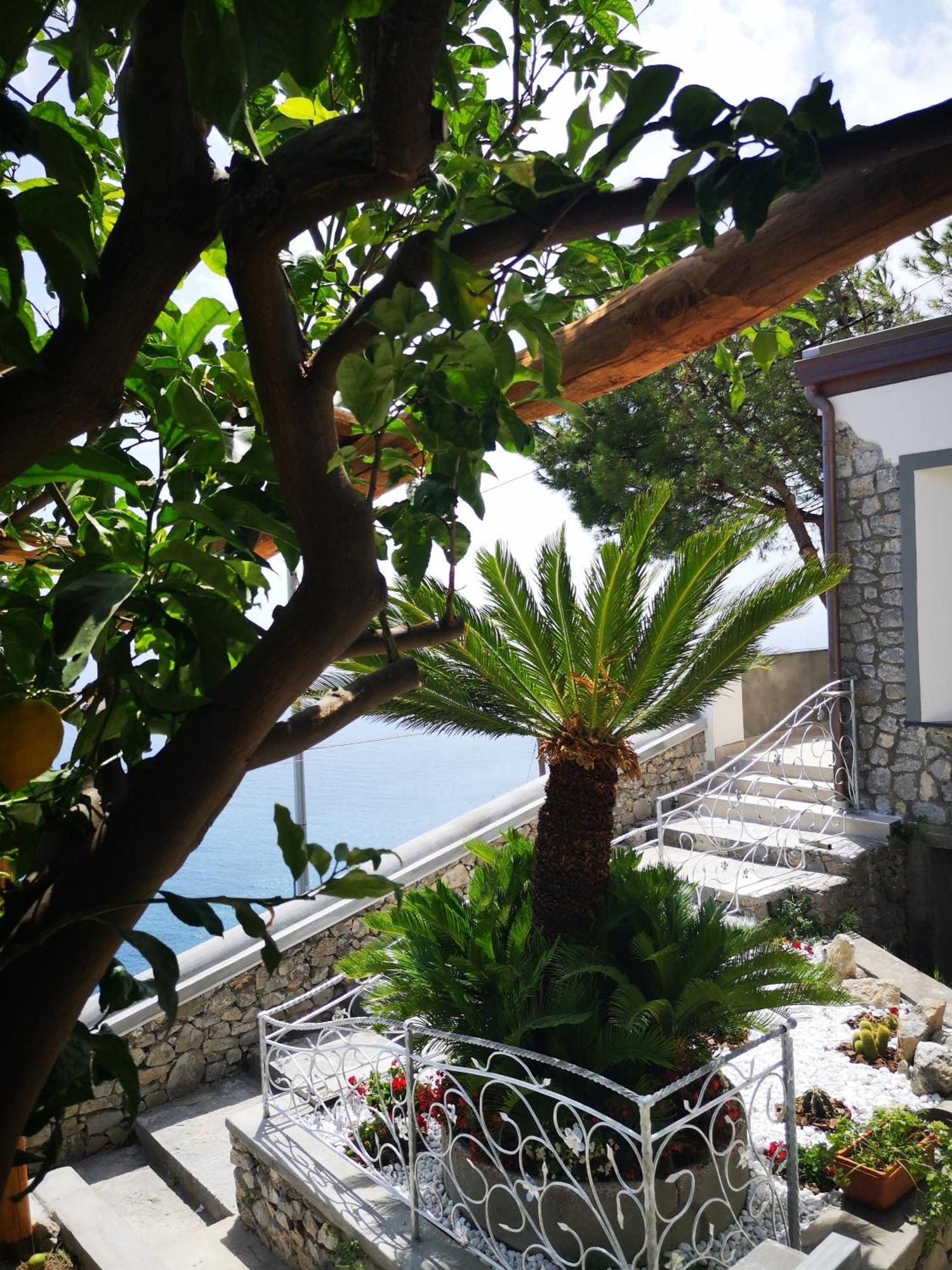 Villa Furoris Apartment Furore Esterno foto
