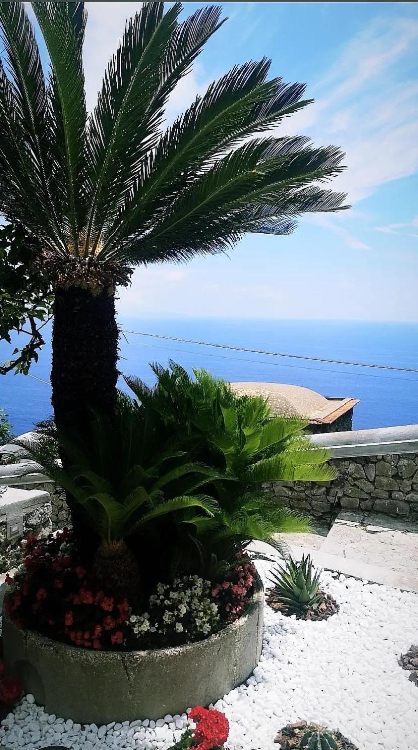 Villa Furoris Apartment Furore Esterno foto